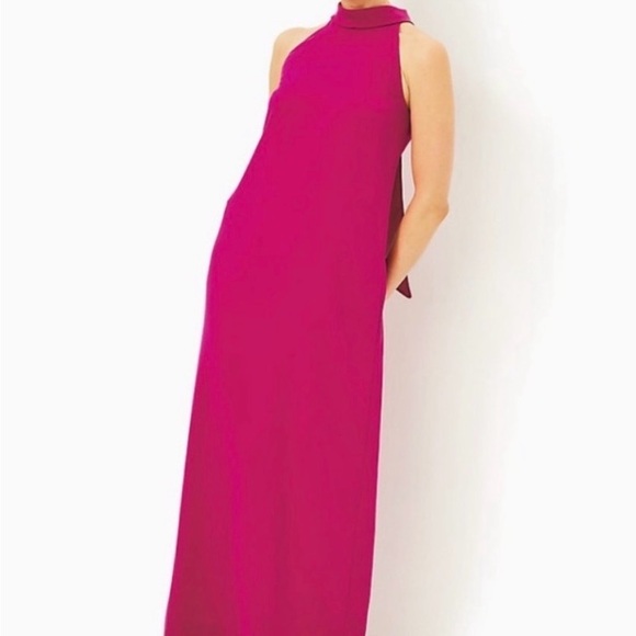 NWT Lilly Pulitzer Alaric Vibrant Pink Maxi Dress - Picture 4 of 7